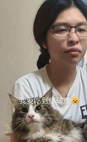 大猫半夜擅闯民宅短短几小时就快把屋主吃破产了