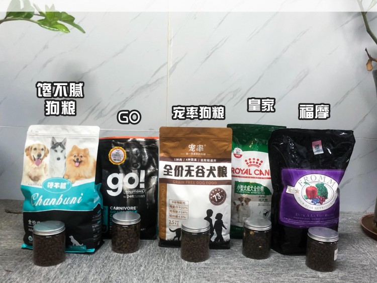 不管你和狗狗关系多好这7件事记得别对它做