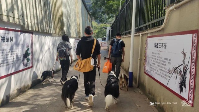 广州带狗爬山聚会训犬师领队！主人：开始有点做主人的感觉